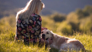 The Best Dogs for Emotional Support