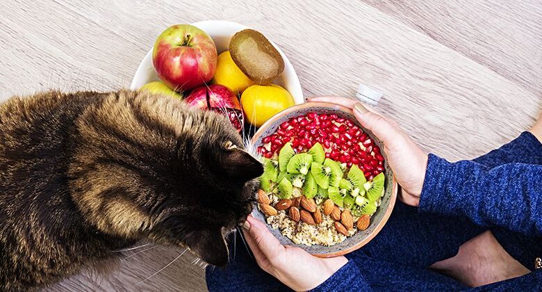 6 vitamin C-rich foods that you can give your cat 6 vitamin C-rich foods that you can give your cat