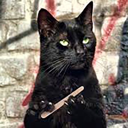 Why a Cat's Claws May Split