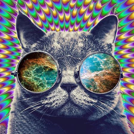 Valerian for Cats