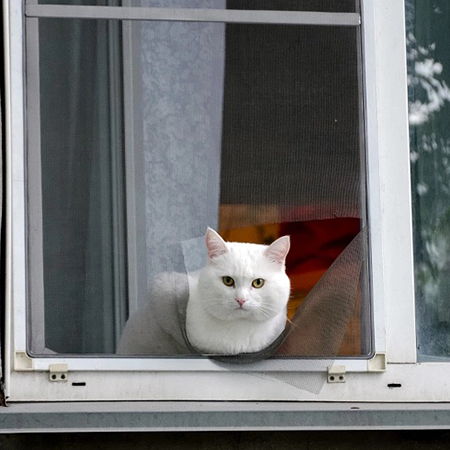 Сетка для кошек на окнах